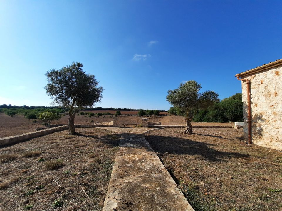 Helårsgrund i Maria De La Salut, Mallorca - foto 3