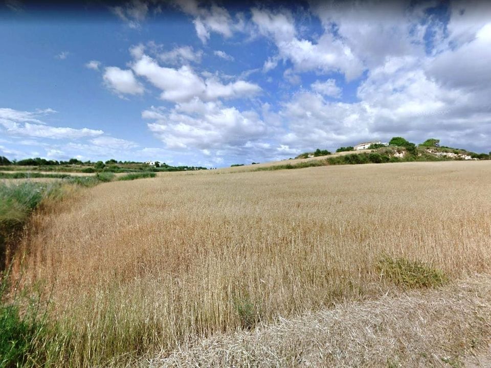 Helårsgrund i Santa Margalida, Mallorca - foto 3