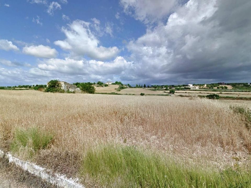 Helårsgrund i Santa Margalida, Mallorca - foto 5