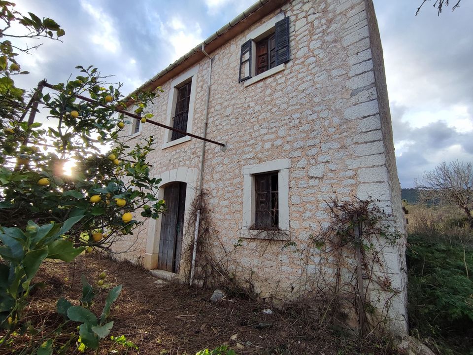 Finca i Binissalem, Mallorca - foto 1