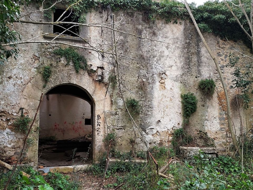Landsbyhus i Binissalem, Mallorca - foto 1