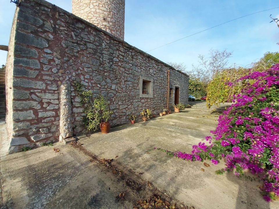 Finca i Binissalem, Mallorca - foto 3