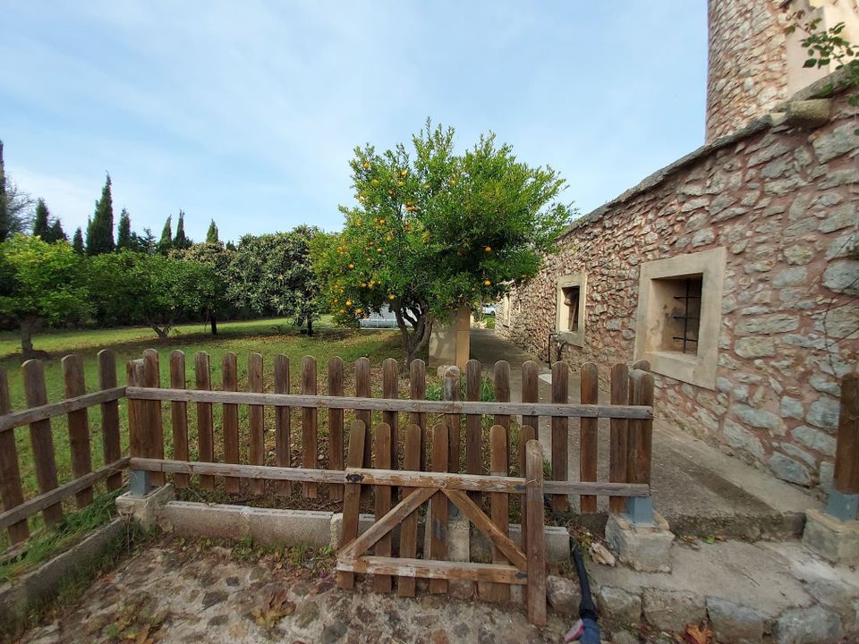 Finca i Binissalem, Mallorca - foto 5