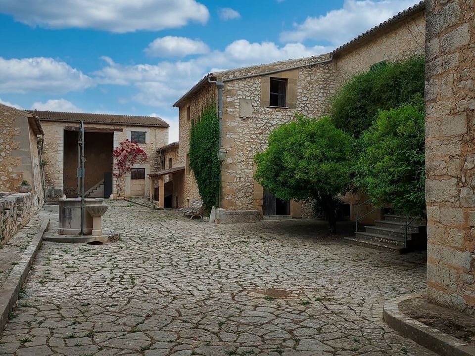 Finca i Binissalem, Mallorca - foto 4