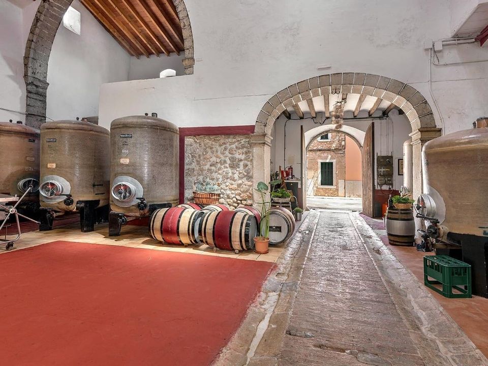 Erhvervsejendom i Binissalem, Mallorca - foto 3