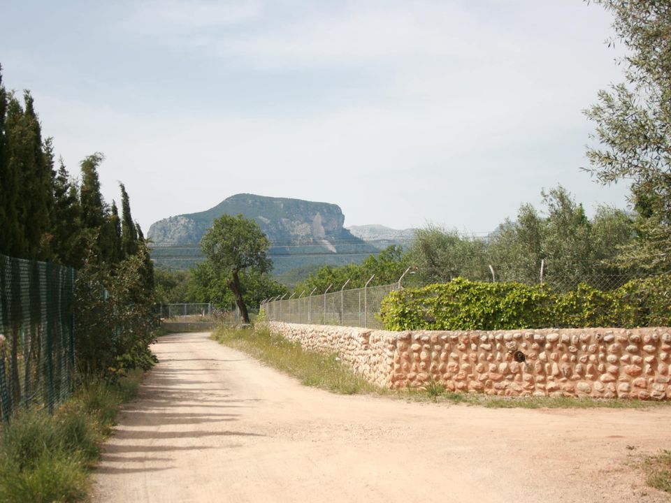 Tomt i Lloseta, Mallorca - bilde 1