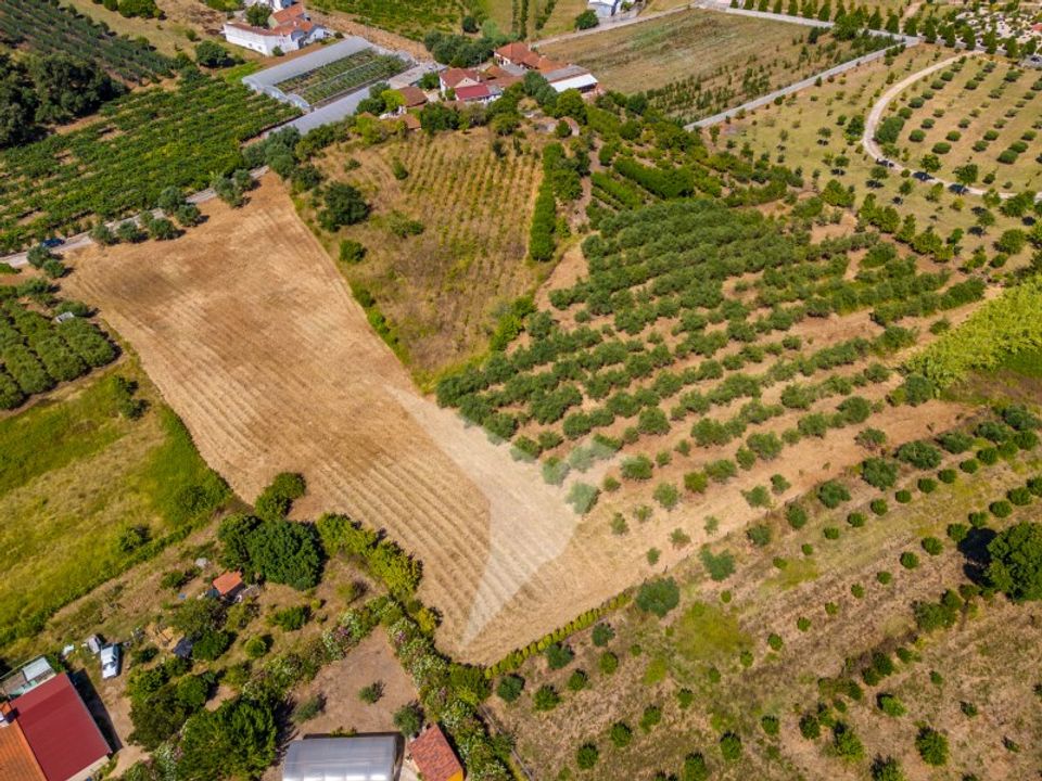 Helårsgrund i Batalha, Leiria - foto 4