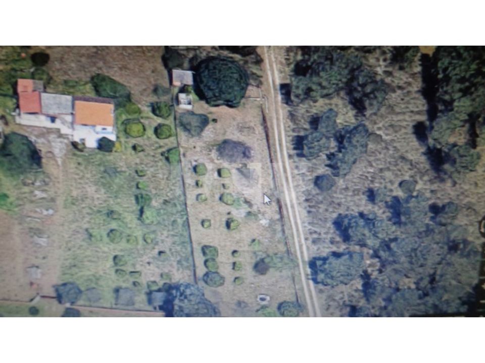 Helårsgrund i Quinta do Anjo, Setubal - foto 2