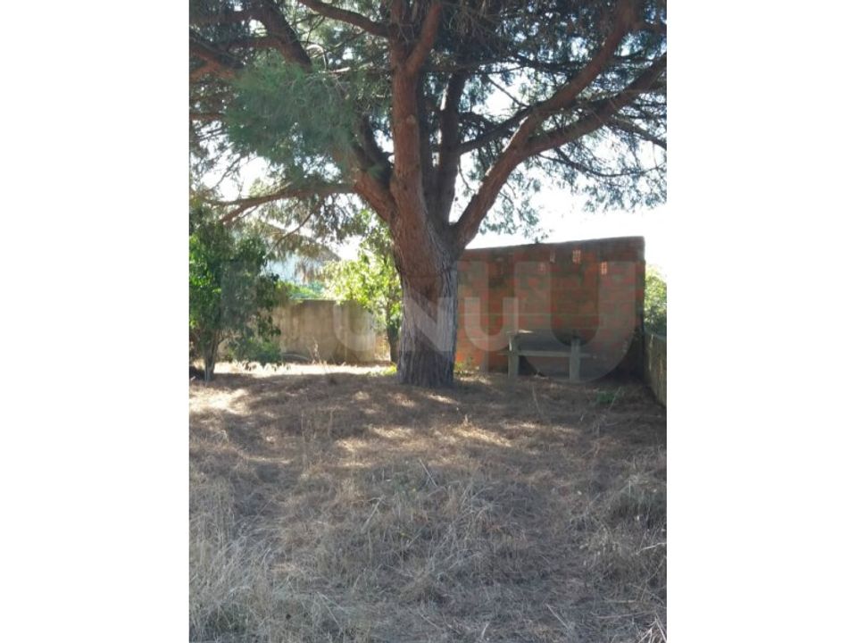 Helårsgrund i Quinta do Anjo, Setubal - foto 4