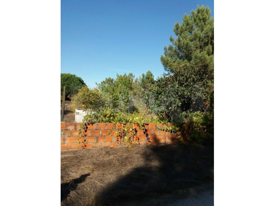 Helårsgrund i Quinta do Anjo, Setubal - foto 5