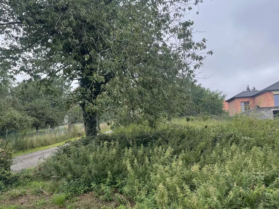 Helårsgrund i Nousseviller-Saint-Nabor, Moselle - foto 1