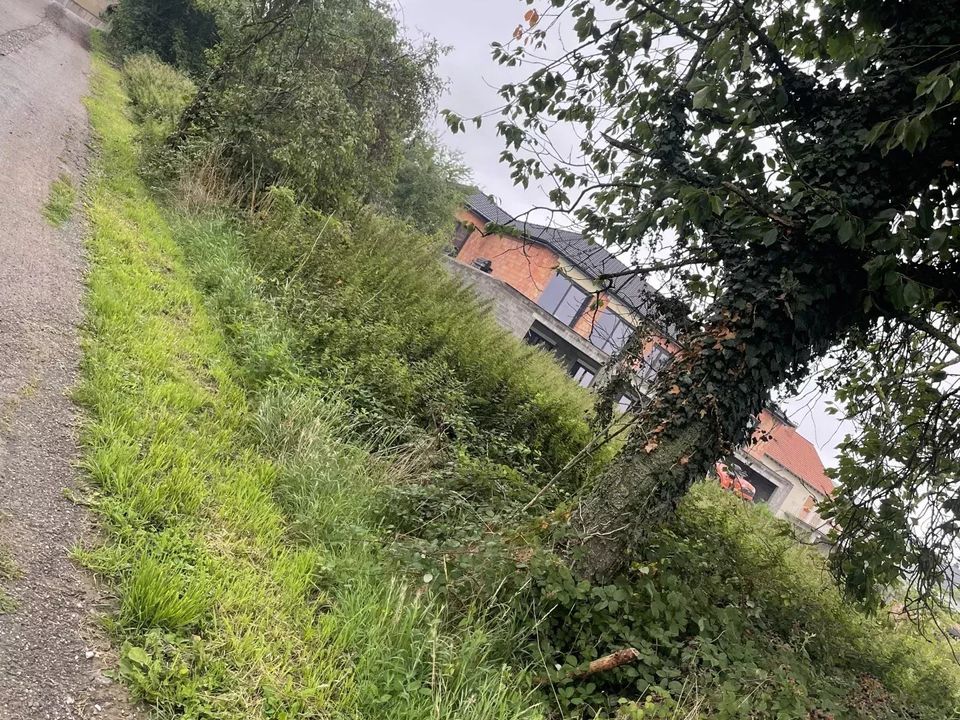 Helårsgrund i Nousseviller-Saint-Nabor, Moselle - foto 3
