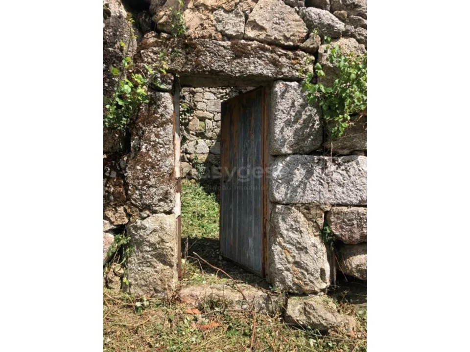 Farm i Linhares, Braganca - foto 3