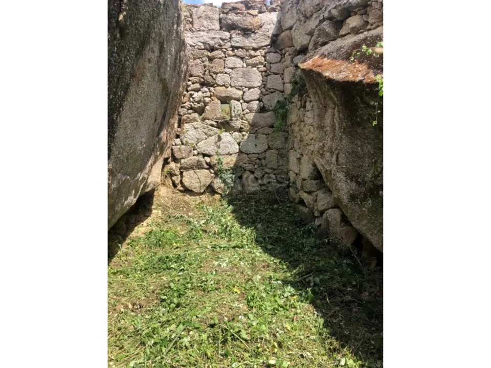 Farm i Linhares, Braganca - foto 4