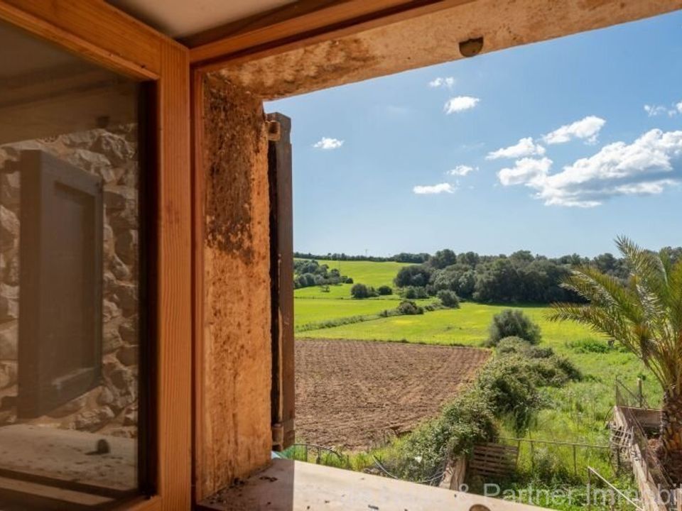 Finca i Sant Llorenc Des Cardassar, Mallorca - foto 4