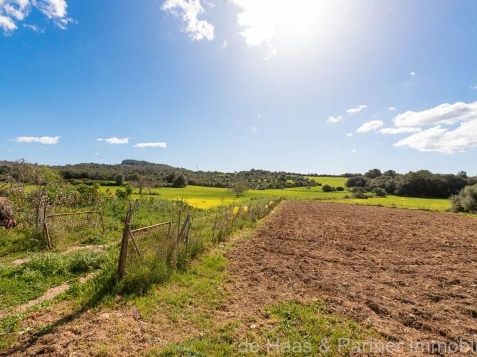 Finca i Sant Llorenc Des Cardassar, Mallorca - foto 5