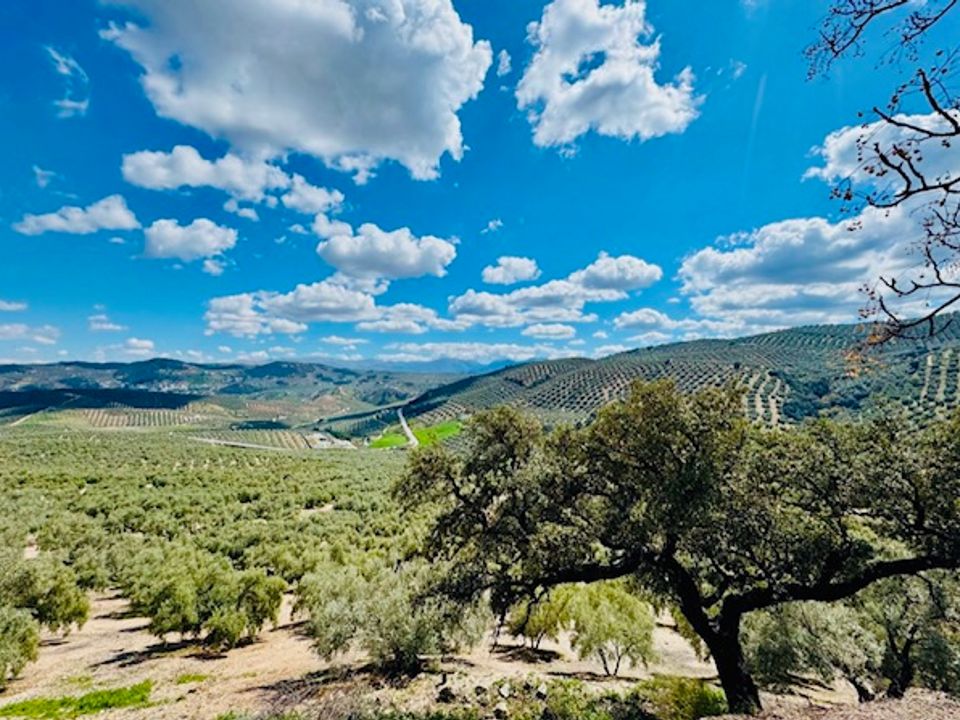 Landejendom i Iznajar, Cordoba - foto 2