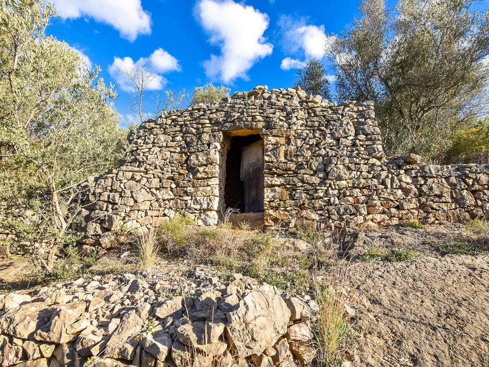 Finca i Mas De Barberans, Tarragona - foto 1