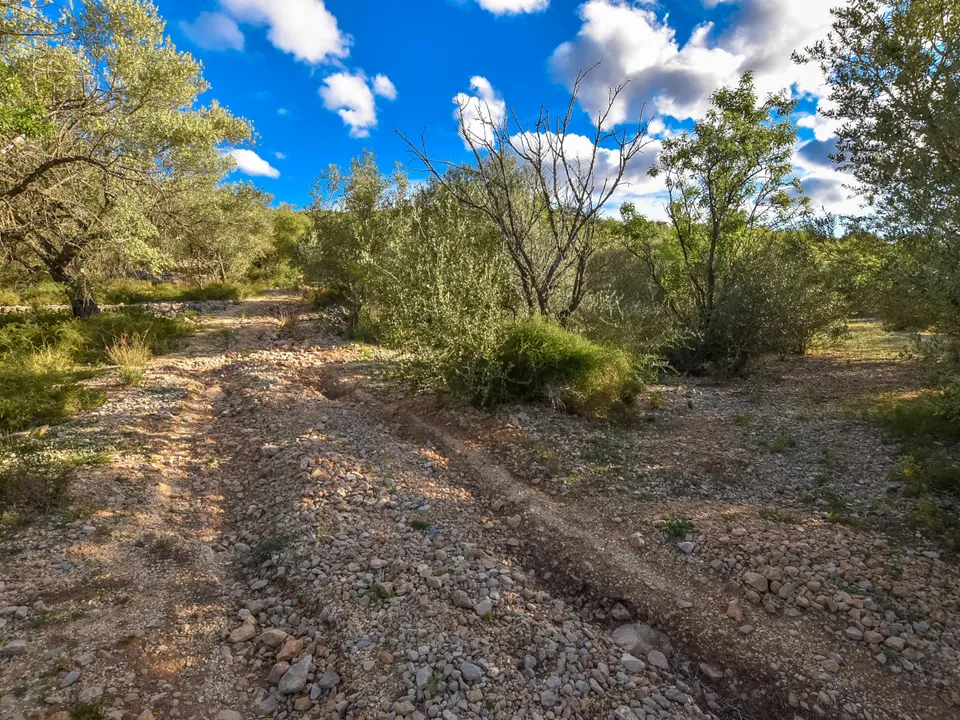 Finca i Mas De Barberans, Tarragona - foto 3