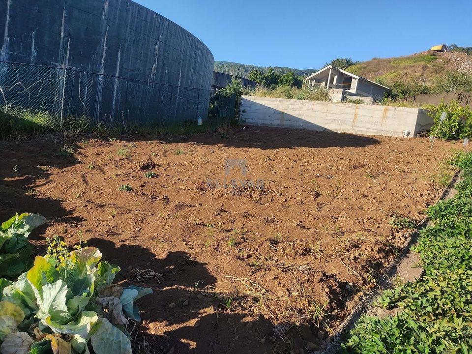 Helårsgrund i Calheta, Madeira - foto 3