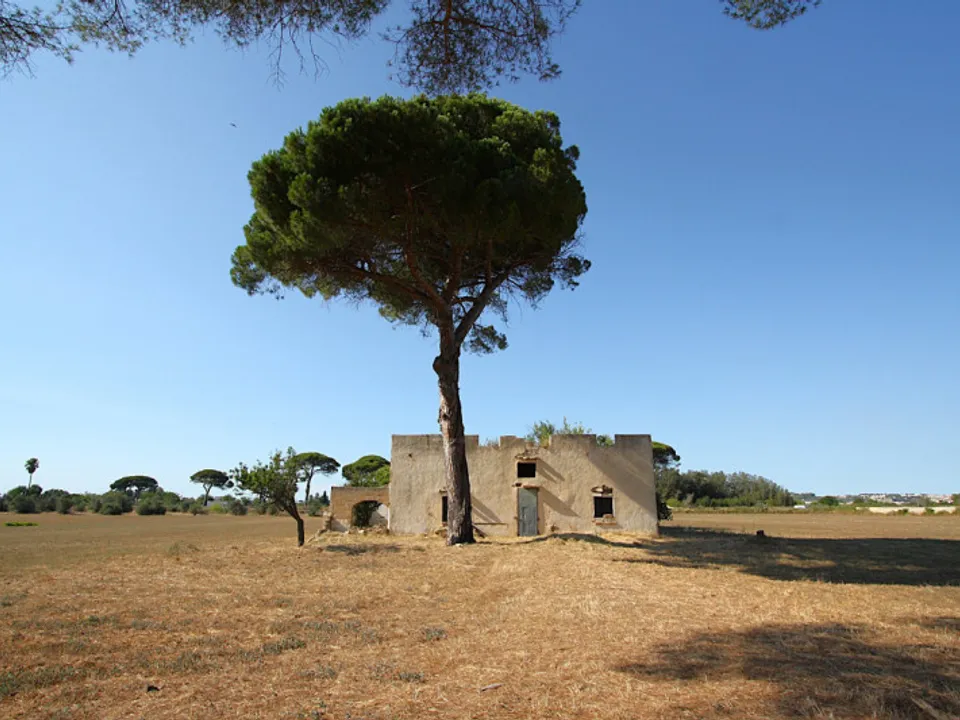 Villa i Alezio, Lecce - bilde 2