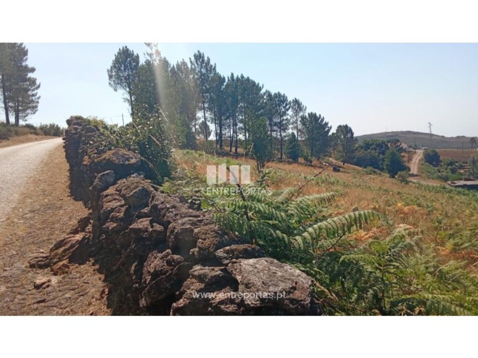 Helårsgrund i Arga (Baixo, Cima e Sao Joao), Viana do Castelo - foto 4
