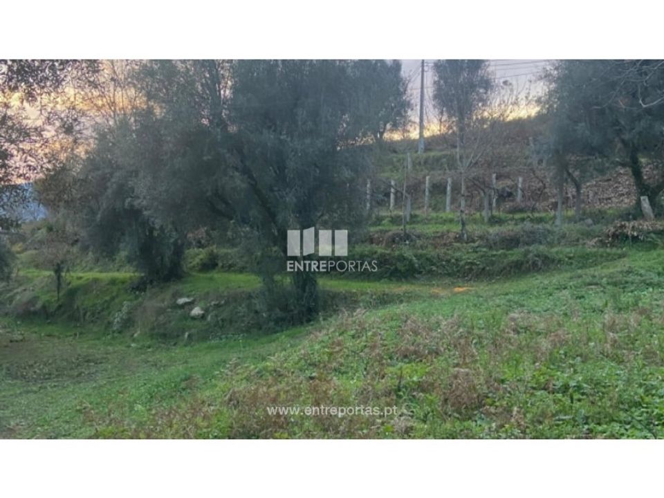 Tomt i Rio de Moinhos, Porto - bilde 1