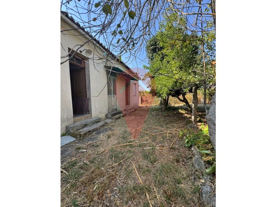 Farm i Valenca, Viana do Castelo - foto 4