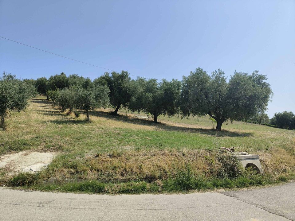 Grond in Acquaviva Picena, Ascoli Piceno - foto 1
