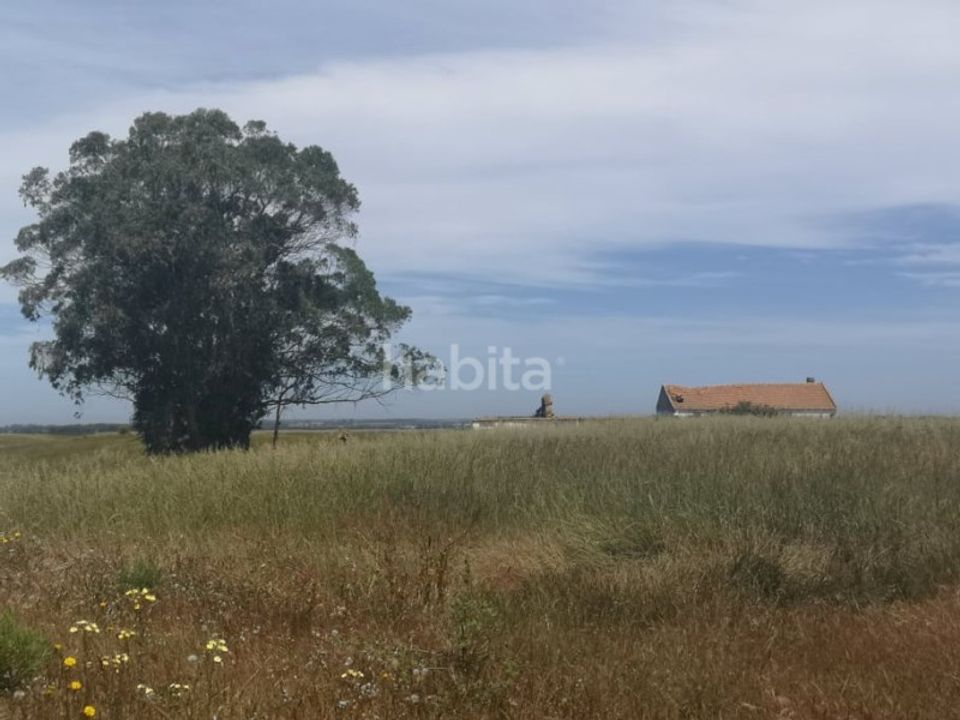 Landejendom i Sao Teotonio, Beja - foto 1