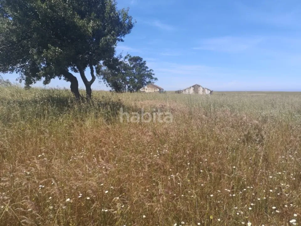 Landejendom i Sao Teotonio, Beja - foto 5