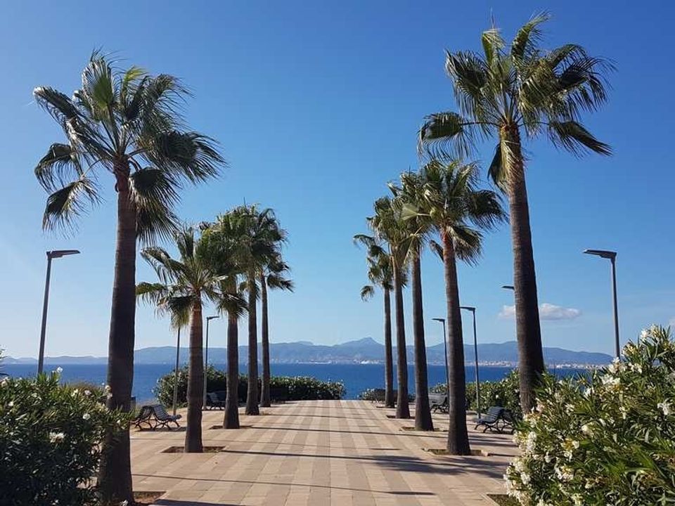 Helårsgrund i Son Veri, Mallorca - foto 1