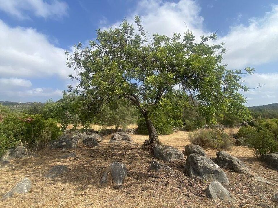 Helårsgrund i Tavira, Faro - foto 5