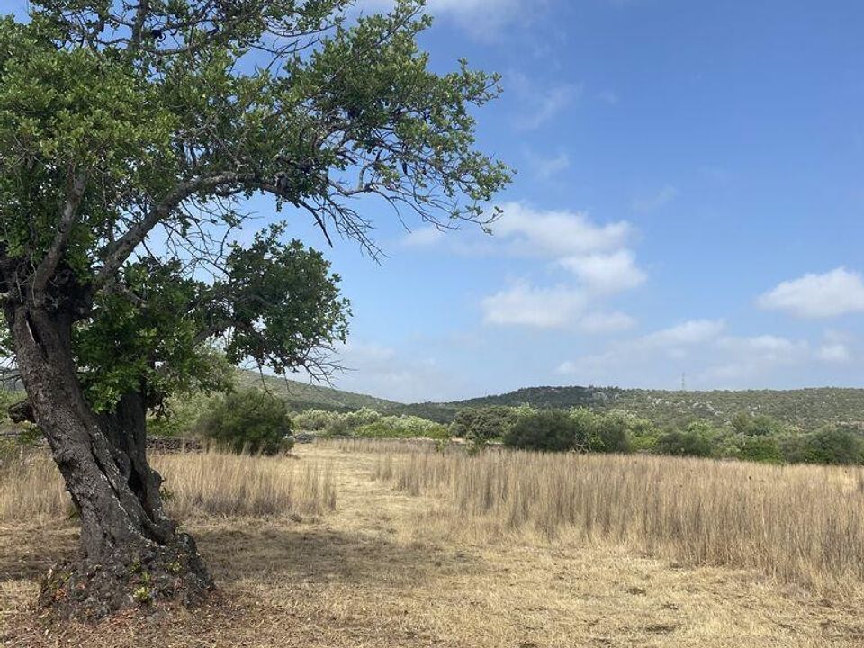 Helårsgrund i Tavira, Faro - foto 1