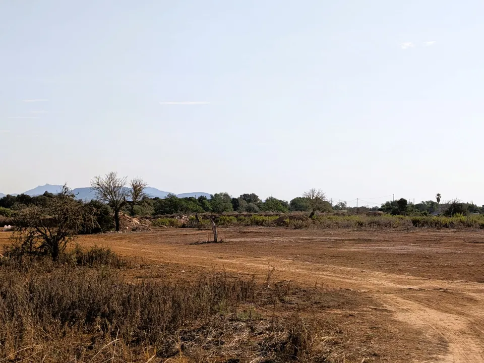 Helårsgrund i Santanyi, Mallorca - foto 3