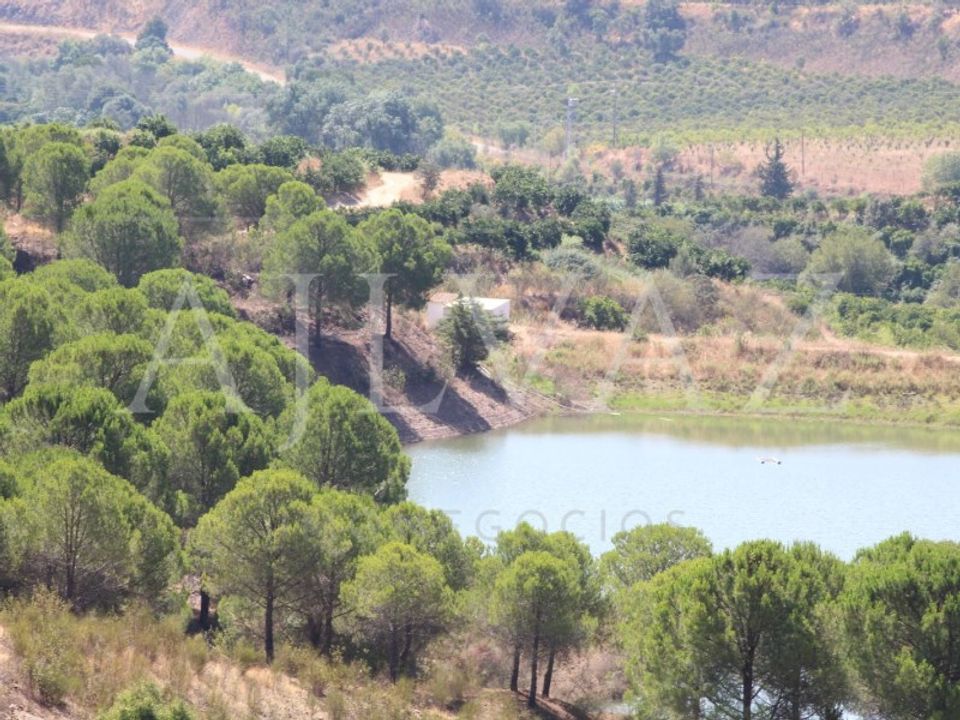 Herregård i Silves, Faro - bilde 4