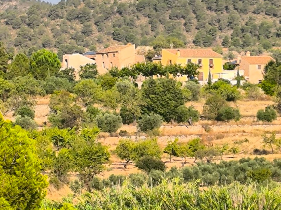 Ruinere i Casas Del Senor, Alicante - foto 1