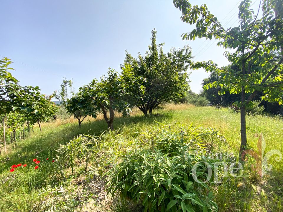 Villa i Volterra, Pisa - foto 5