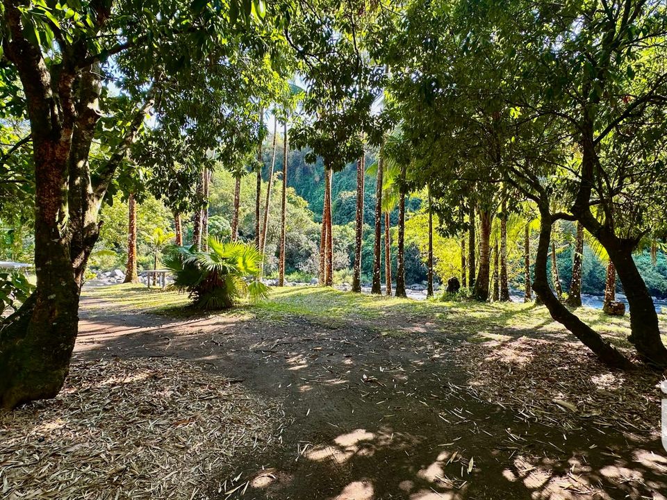 Villa i Saint-Benoit, La Reunion - bilde 3