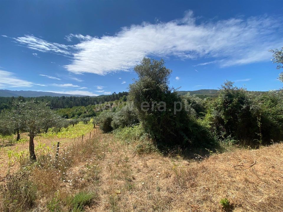 Tomt i Fundao, Castelo Branco - bilde 5
