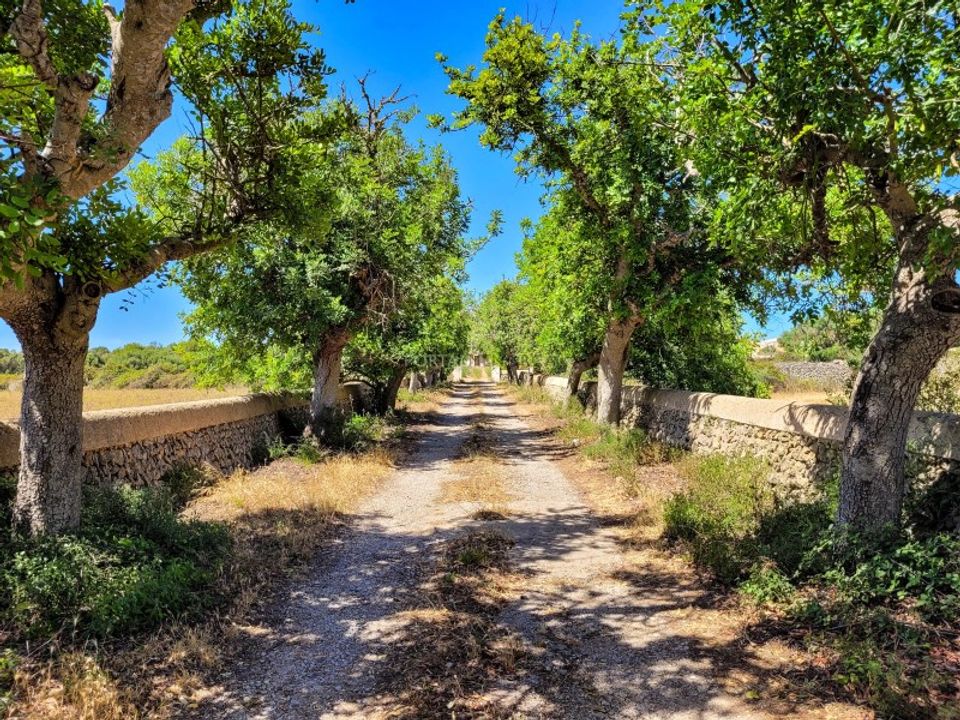 Landejendom i Alaior, Menorca - foto 5