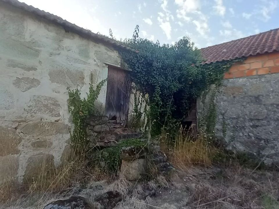 Farm i Moncao, Viana do Castelo - foto 4