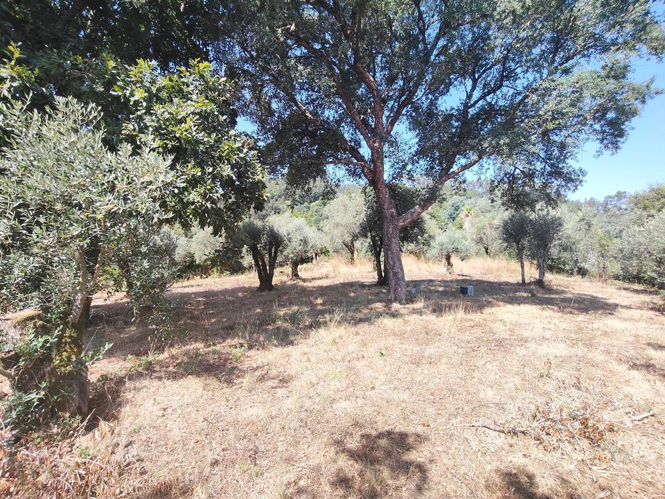 Villa i Alvaiazere, Leiria - foto 1