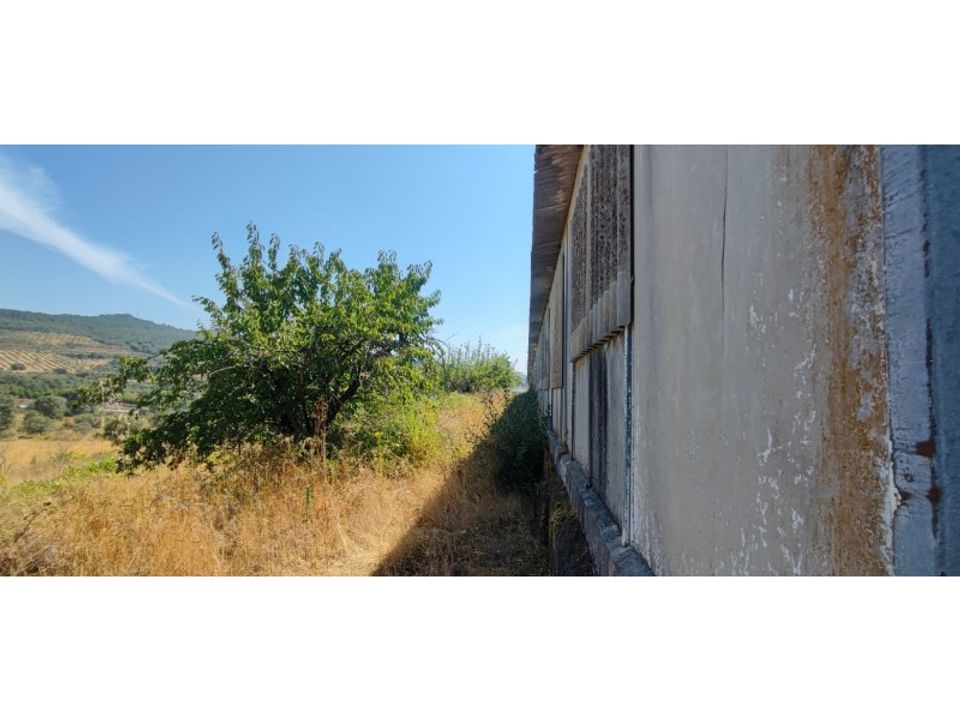 Tomt i Fundao, Castelo Branco - bilde 3