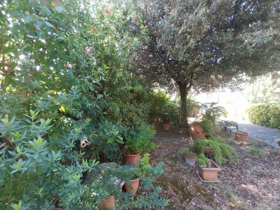 Villa i Rosignano Marittimo, Livorno - foto 1
