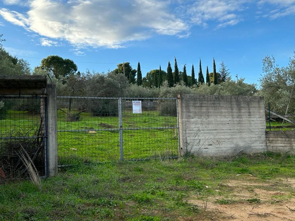 Erhvervsejendom i Caltanissetta, Caltanissetta - foto 2