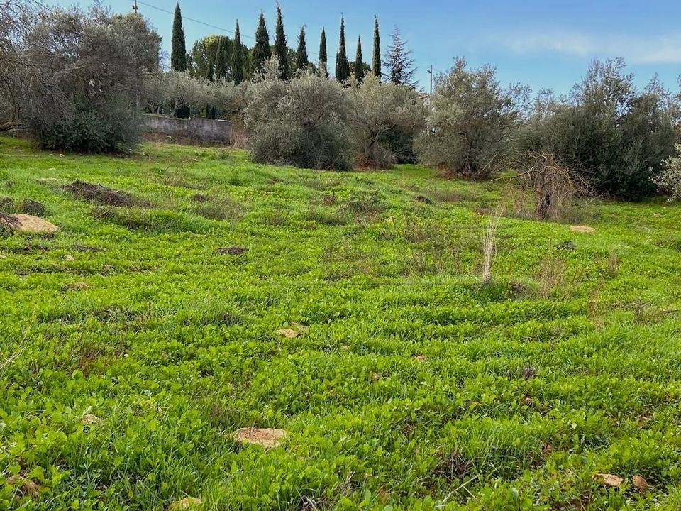 Erhvervsejendom i Caltanissetta, Caltanissetta - foto 3