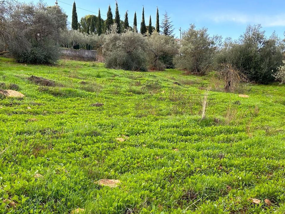 Erhvervsejendom i Caltanissetta, Caltanissetta - foto 4