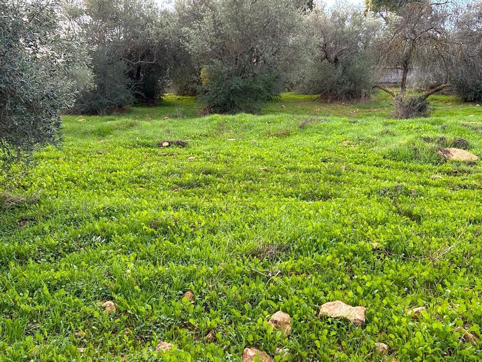 Erhvervsejendom i Caltanissetta, Caltanissetta - foto 5