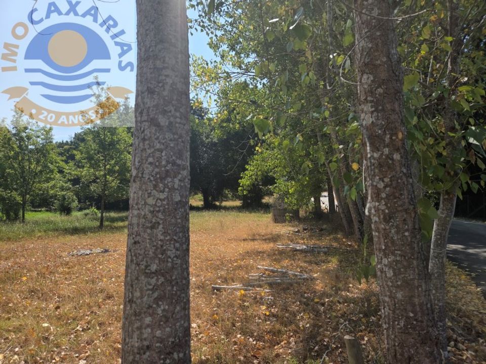 Helårsgrund i Ourem, Santarem - foto 2